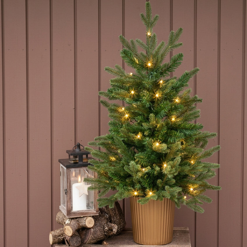 Potted Eldon Fir Tree with Lights - 3FT