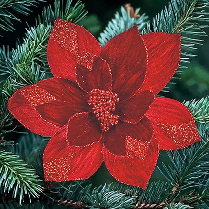 Burgundy Velvet Poinsettia with Gold Sequins Clip On 29cm