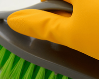 The Best Ways to Remove Mould & Mildew