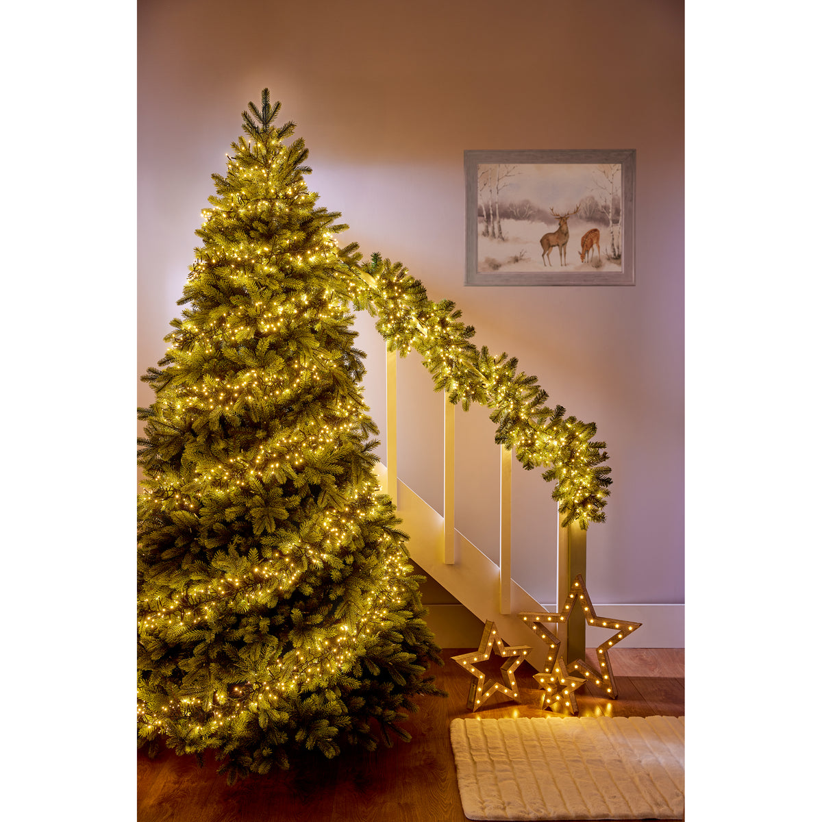 2000 LED  Clusterbrights C/Timer Warm White