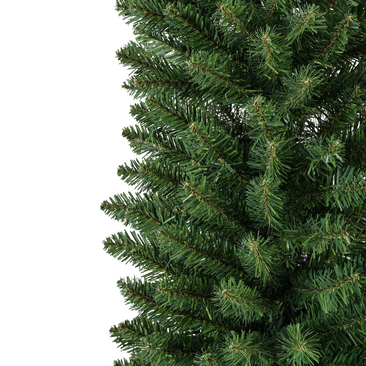 Everlands Pencil Pine Tree 7FT