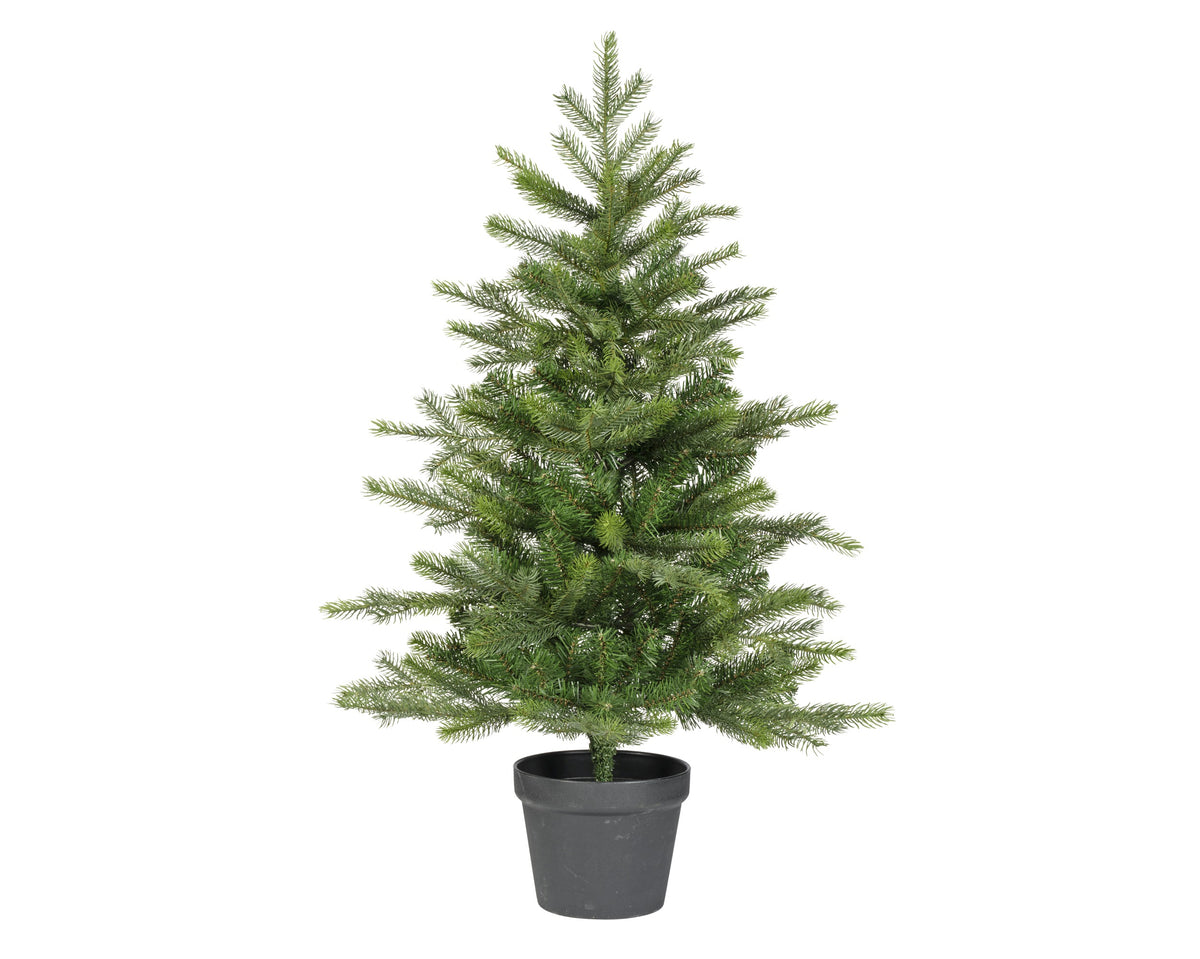 Grandis Mini Tree - 3FT