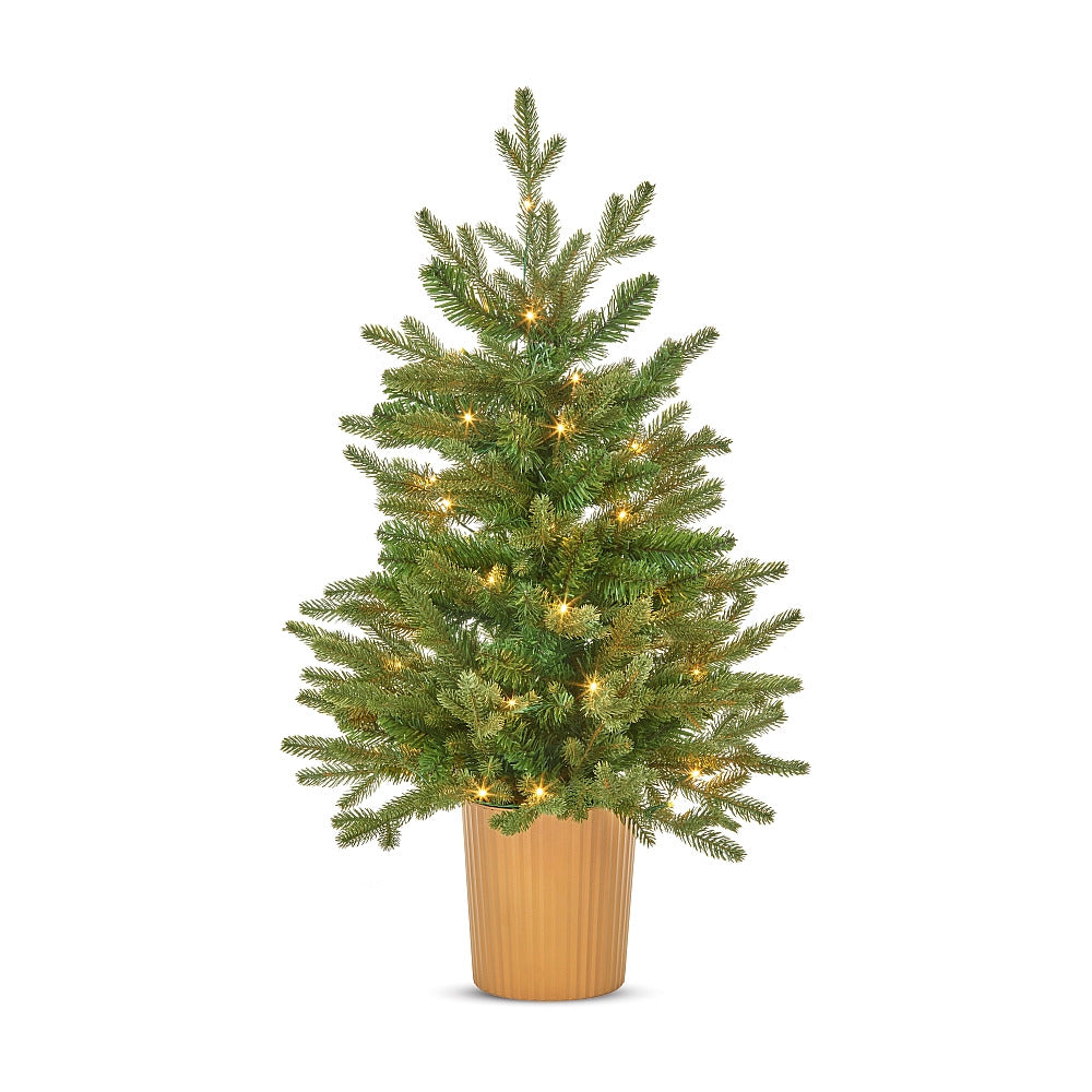Potted Eldon Fir Tree with Lights - 3FT