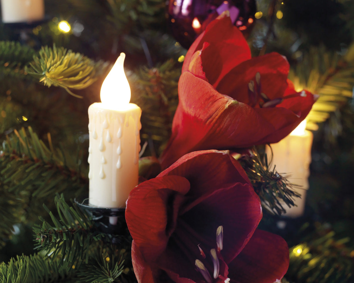 LED Candle Lights INDOOR