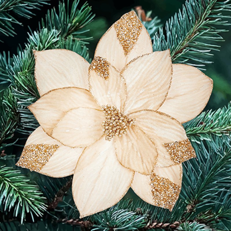 Gold Velvet Look Poinsettia with Glitter Clip On 23cm