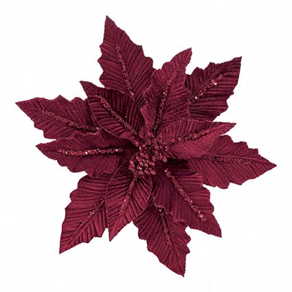 Burgundy Velvet Poinsettia with Glitter Clip On 31cm