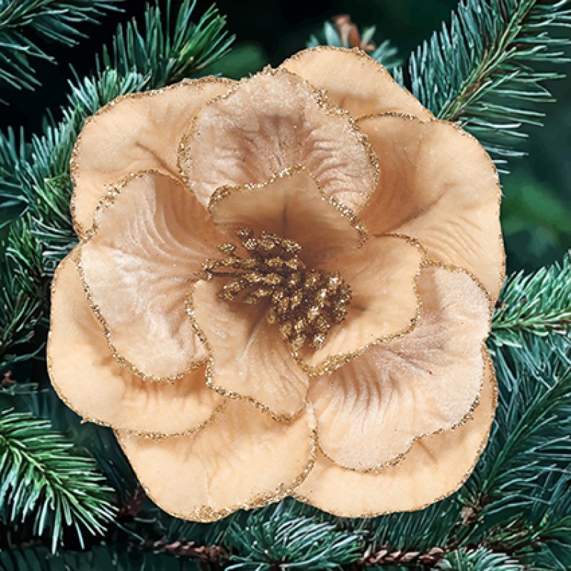 Champagne Gold Velvet Dahlia  with Gold Glitter Edge Clip on 24cm
