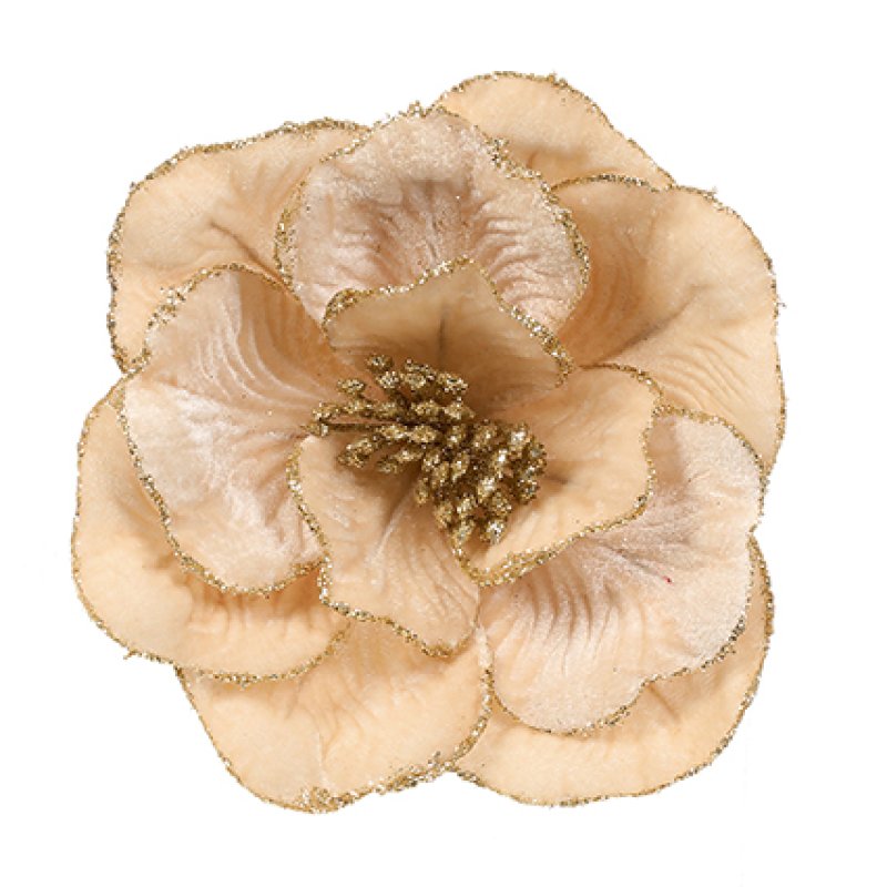 Champagne Gold Velvet Dahlia  with Gold Glitter Edge Clip on 24cm