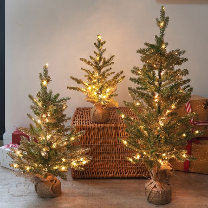 InLit Sparkly Fir, 45cm, FSC1