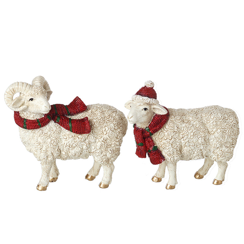 Sheep with Red Scarf